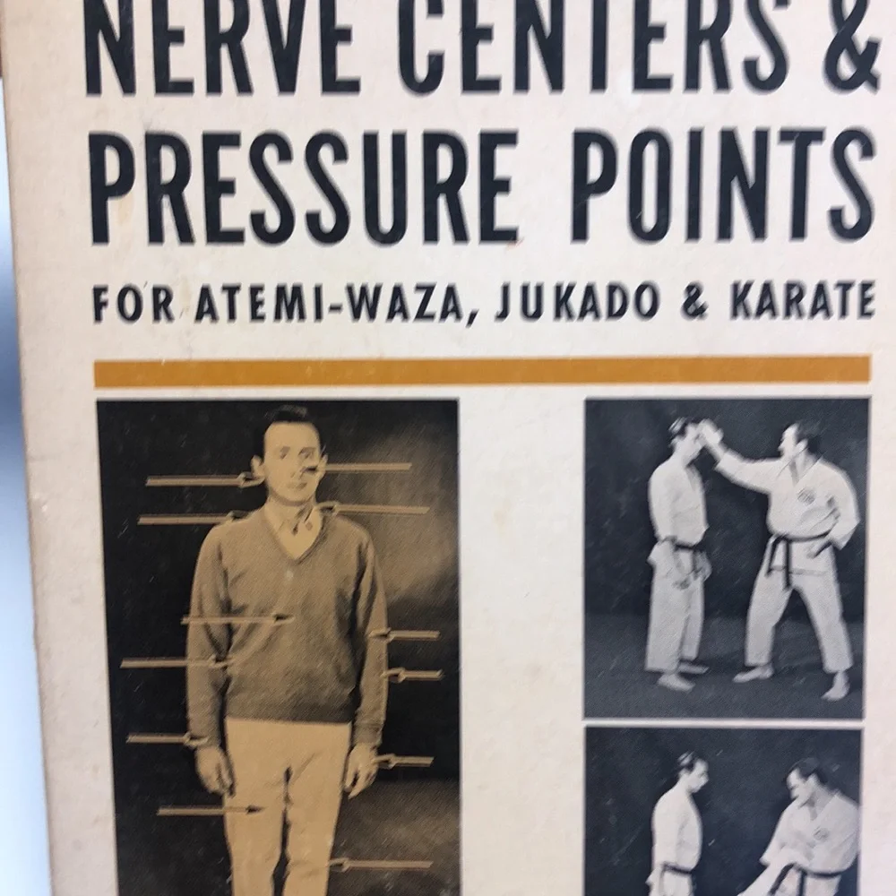 Lot of Chinese fight books - Picture 3 of 6